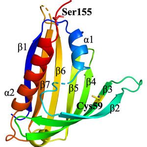 cap10k 2024 results|(IUCr) Structural analysis of a ligand.